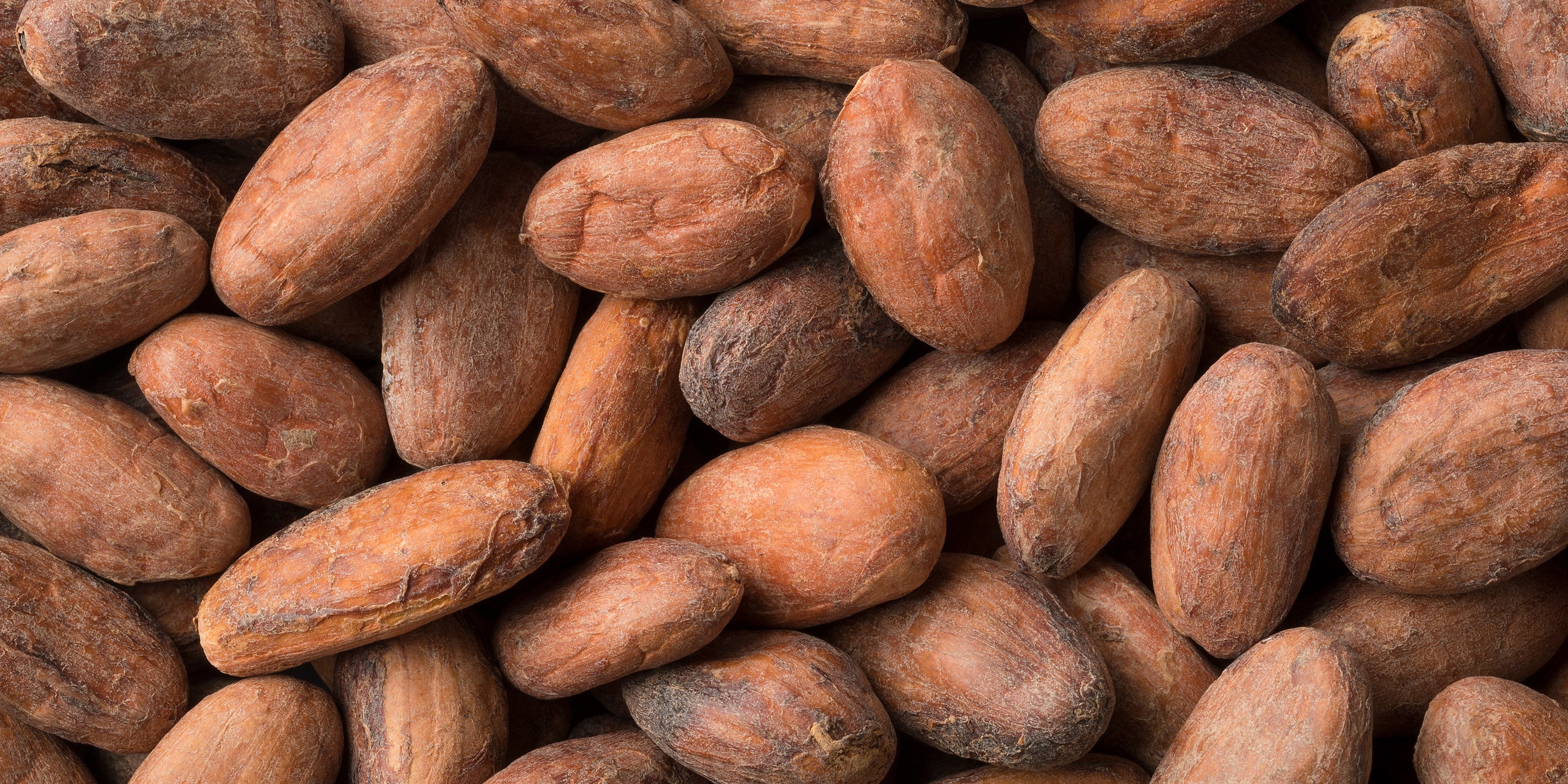 A close-up image of cocoa beans, a featured ingredient in the Self Glow by James Read Sunbright Tinted Tan Drops for its skin-loving properties.